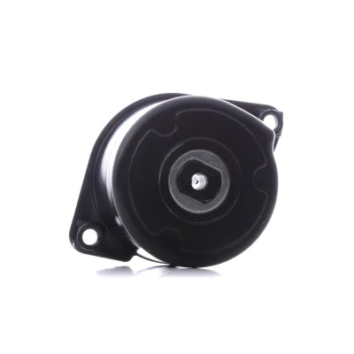 Abbildung von INA 534 0170 10 Spannarm, Keilrippenriemen BMW: 3 Coupe, 6 Saloon