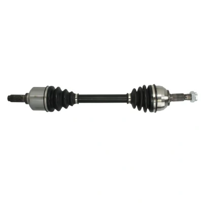 Abbildung von Antriebswelle PASCAL G2P076PC