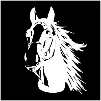 Abbildung von Finest Folia Aufkleber Pferd Pferdekopf Sticker für Auto Anhänger LKW Pferde Autoaufkleber Dekor Pferdemotiv Tiermotiv K039 (Weiß Glanz, 30x21 cm)