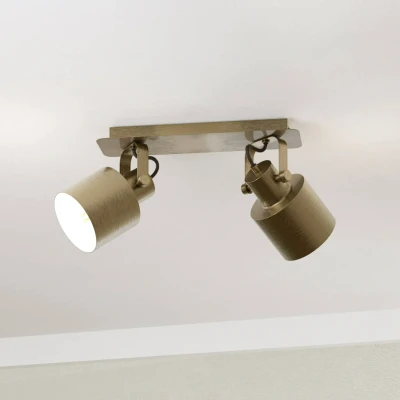 Abbildung von EGLO Deckenspot »SOUTHERY«, Leuchtmittel E27 wechselbar ohne Leuchtmittel, in gold und weiß aus Stahl exkl. 40W