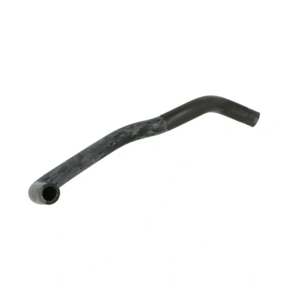 Abbildung von SASIC 3400152 Kühlerschlauch mitte links PEUGEOT: 206 Hatchback