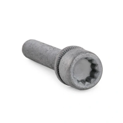 Abbildung von FEBI BILSTEIN 48817 Schraube, Bremssattel Hinterachse VOLKSWAGEN: Golf Plus / Crossgolf, Sharan II, Tiguan I, SKODA: Yeti, Octavia II Hatchback
