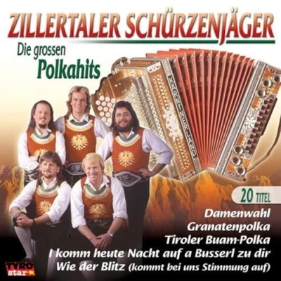 Abbildung von Die Grossen Polkahits