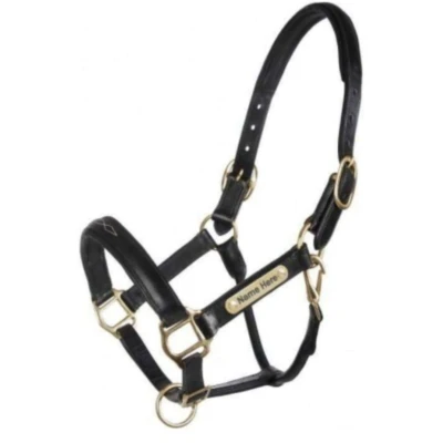 Abbildung von HB Showtime Halfter Horse Name Leder Schwarz Warmblut