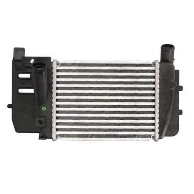 Abbildung von Ladeluftkühler THERMOTEC DA2008TT