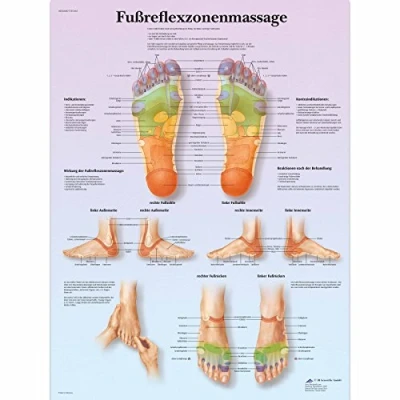 Abbildung von 3B Scientific Lehrtafel laminiert Fußreflexzonenmassage, 50 x 67 cm