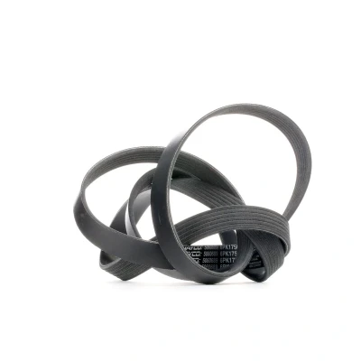 Abbildung von DAYCO 6PK1750 Keilrippenriemen 1750,0 6 RENAULT: CLIO 2, Kangoo I Express, LAGUNA ALFA ROMEO: 159 Sportwagon, 156 Brera