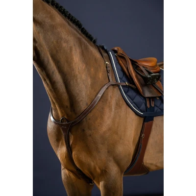Abbildung von Dyon Brustgeschirr Long Bridge Schwarz Pony