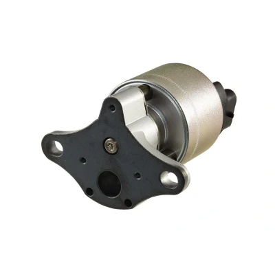 Abbildung von HELLA 6NU 010 171 601 AGR Ventil elektronisch mit Dichtung OPEL: Corsa B Hatchback, Vectra Saloon, CC