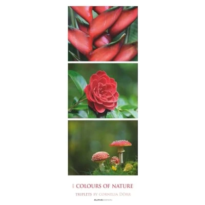 Abbildung von Colours of Nature Triplets 2025 Streifenkalender XXL 25x69 cm Bildkalender im Hochformat Naturkalender Wandkalender Wandplaner: