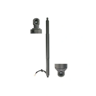 Abbildung von Elektromotor, Heckklappe POWERISE® STABILUS 875275