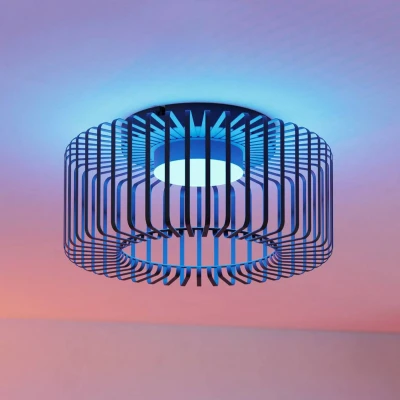 Abbildung von EGLO Deckenleuchte »GINESTRONE Z«, 1 flammig, Leuchtmittel LED Modul fest integriert, ZigBee, App und Sprachsteuerung Alexa, RGB, dimmbar, Lampe, Ø 45 cm