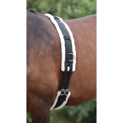 Abbildung von Shires Nylon Longiergurt mit Fleece Futter Schwarz Warmblut