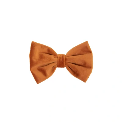 Abbildung von Kentucky Bow Tie Velvet Orange S