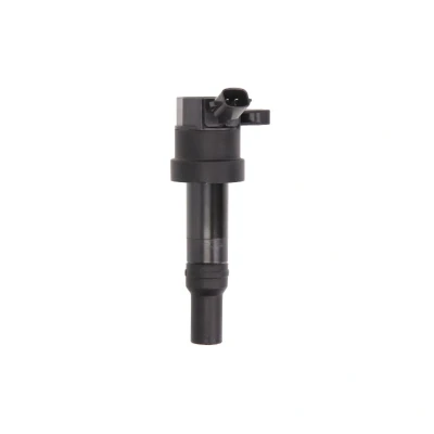 Abbildung von DELPHI GN10585 12B1 Zündspule 2 12 HYUNDAI: i10 I