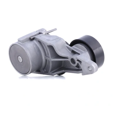 Abbildung von INA 534 0319 10 Spannarm, Keilrippenriemen VOLVO: XC90 I, S60 I
