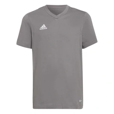 Abbildung von adidas Performance Entrada Tshirt basic Team grey für Kinder, Größe: 128,