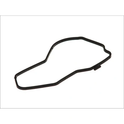 Abbildung von DT Spare Parts 1.24217 Dichtung, Wasserpumpe