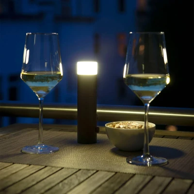 Abbildung von EVOTEC Gartenleuchte »PAUL«, 1 flammig, Leuchtmittel LED Board fest integriert, Outdoorleuchte ideal zum Grillen