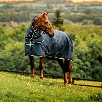 Abbildung von Amigo Ripstop 900D Plus Turnout
