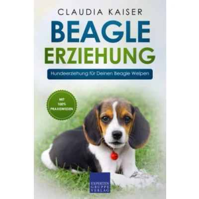 Abbildung von Beagle Erziehung: Hundeerziehung für Deinen Welpen