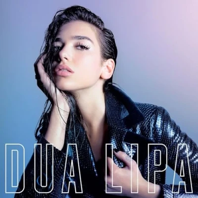 Abbildung von LIPA, DUA LIPA (PINK MARBLE LP) (1 [Vinyl LP]