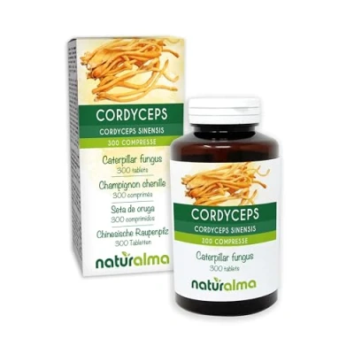 Abbildung von Cordyceps oder Chinesische Raupenpilz (Cordyceps sinensis Ophiocordyceps sinensis) Pilz Naturalma 150 g 300 Tabletten Nahrungsergänzungsmittel Natürlich und Vegan