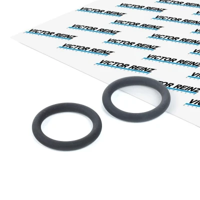 Abbildung von REINZ 40 76246 00 Ansaugkrümmerdichtung FPM (Fluor Kautschuk) FORD: FIESTA 6, 5, MAZDA: 2 Hatchback, PEUGEOT: 206 SW