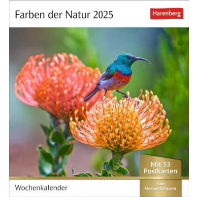 Abbildung von Farben der Natur Postkartenkalender 2025 Wochenkalender mit 53 Postkarten: Farbenprächtige Naturaufnahmen in einem Fotokalender im Postkartenformat. ... Postkarten (Postkartenkalender Harenberg)