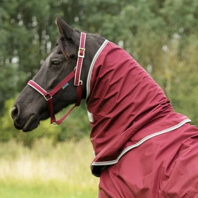Abbildung von Bucas Atlantic Combi Neck Wine/Silver M