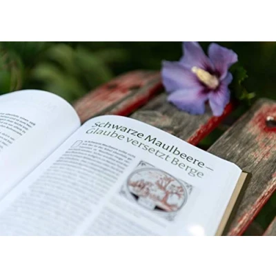 Abbildung von Vom Garten Eden bis zu Salomos Weinberg: Pflanzen der Bibel