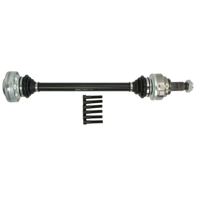 Abbildung von Antriebswelle PASCAL G2B009PC