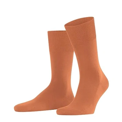 Abbildung von FALKE Herren Socken Climate Wool Nachhaltiges Lyocell Wolle einfarbig 1 Paar, Orange (Tandoori 8576), 41 42