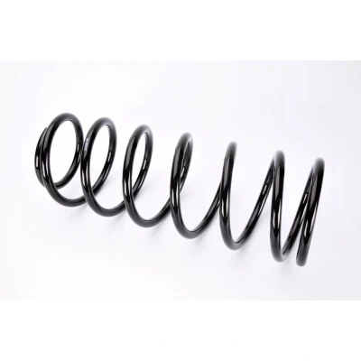 Abbildung von Magnum Technology S00001MT Fahrwerksfeder Vorderachse Schraubenfeder