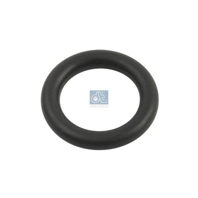 Abbildung von DT Spare Parts 1.24301 Dichtring
