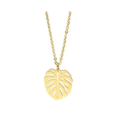 Abbildung von Nuoli® Blatt Kette Damen Gold (45 + 5cm verstellbar) Halskette mit Monstera Schmuck Anhänger für Frauen &amp; Mädchen, aus Edelstahl