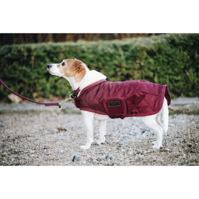 Abbildung von Kentucky Hundejacke Original Royal Bordeaux 25cm