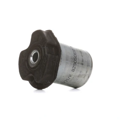 Abbildung von FAG 829 0506 10 Achslager RENAULT: CLIO 2