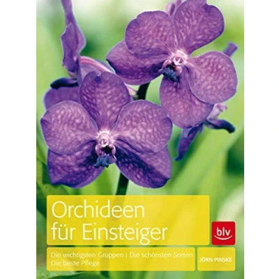 Abbildung von Orchideen für Einsteiger: Die wichtigsten Gruppen · schönsten Sorten beste Pflege (BLV Pflanzenpraxis)