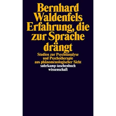 Abbildung von Erfahrung, die zur Sprache drängt: Studien Psychoanalyse und Psychotherapie aus phänomenologischer Sicht (suhrkamp taschenbuch wissenschaft)