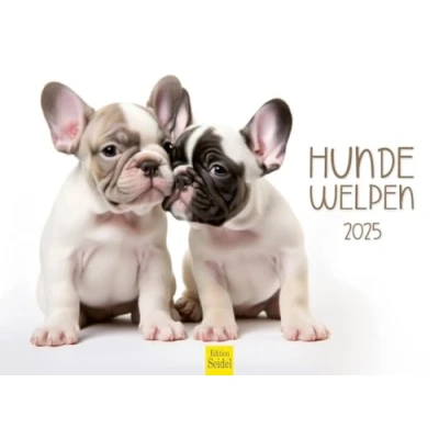 Abbildung von Edition Seidel Premium Kalender Hundewelpen 2025 Format DIN A4 Wandkalender Hundekalender Hund Welpe Hunderasse Haustier