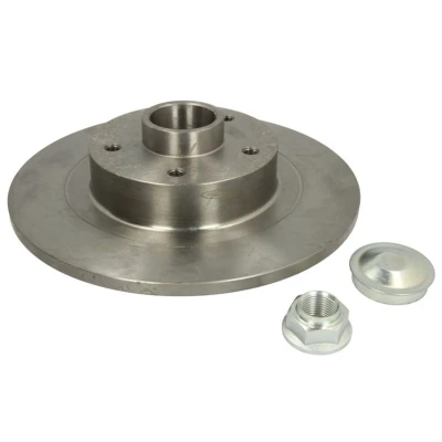 Abbildung von DELPHI BG9134RS Bremsscheibe 290 11 5 voll geölt unbehandelt mit Radlager, ABS Sensorring RENAULT: Megane 4, Scénic IV, GRAND SCENIC 3