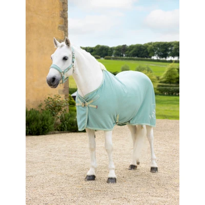 Abbildung von LeMieux Cooler Kudos Bamboo AquaVerkauft von Agradi