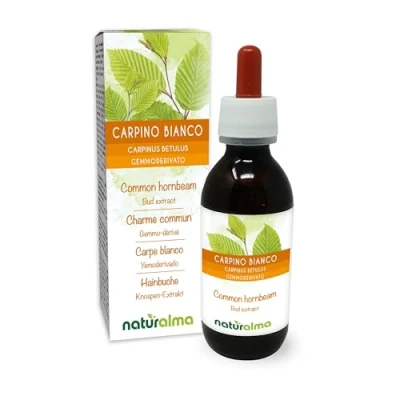 Abbildung von Hainbuche oder Weißbuche (Carpinus betulus) Alkoholfrei knospen Extrakt aus frishen Naturalma Flüssig Tropfen 120 ml Nahrungsergänzungsmittel Veganer