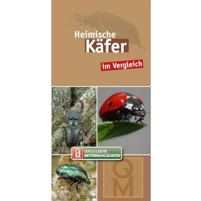 Abbildung von Heimische Käfer: im Vergleich (Quelle &amp; Meyer Bestimmungskarten)