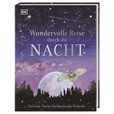 Abbildung von Wundervolle Reise durch die Nacht: Ein Gute Nacht Sachbuch zum Vorlesen. Cover mit Silberfolie