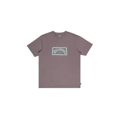 Abbildung von Billabong ARCH Frame Tshirt print, Herren, Größe: XL, Sny