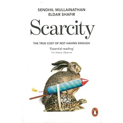 Abbildung von Scarcity: The True Cost of Not Having Enough
