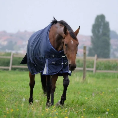 Abbildung von EQUITHÈME Decke Pro Tyrex 1680D 220g mit Hals Navy 125/175