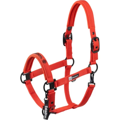 Abbildung von Eskadron FW25 Dynamic Double Pin Halter